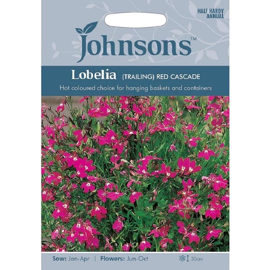 種子 Johnsons Seeds Lobelia (TRAILING) RED CASCADE ロベリア