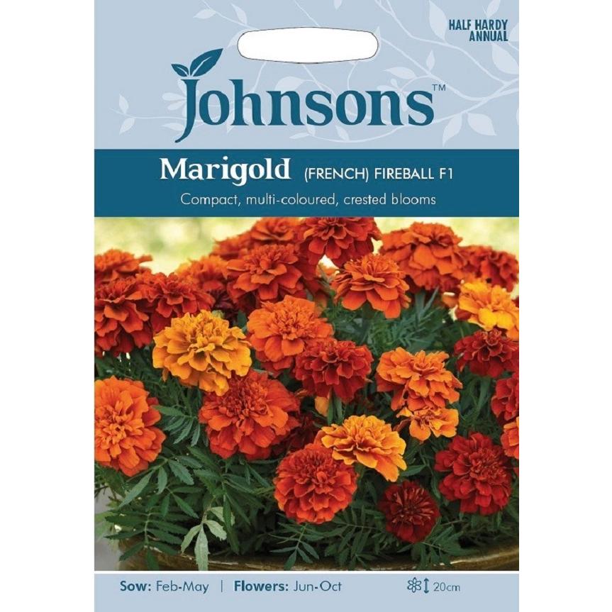 輸入種子 Johnsons Seeds Marigold French Fireball F1 マリーゴールド フレンチ ファイアボール F1 ジョンソンズシード Hanatane 1331 Gardener S Shop Ivy 通販 Yahoo ショッピング