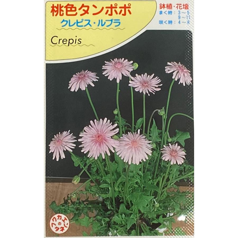 種子 桃色タンポポ クレピス ルブラ 福花園のタネ Hanatane 1359 Gardener S Shop Ivy 通販 Yahoo ショッピング