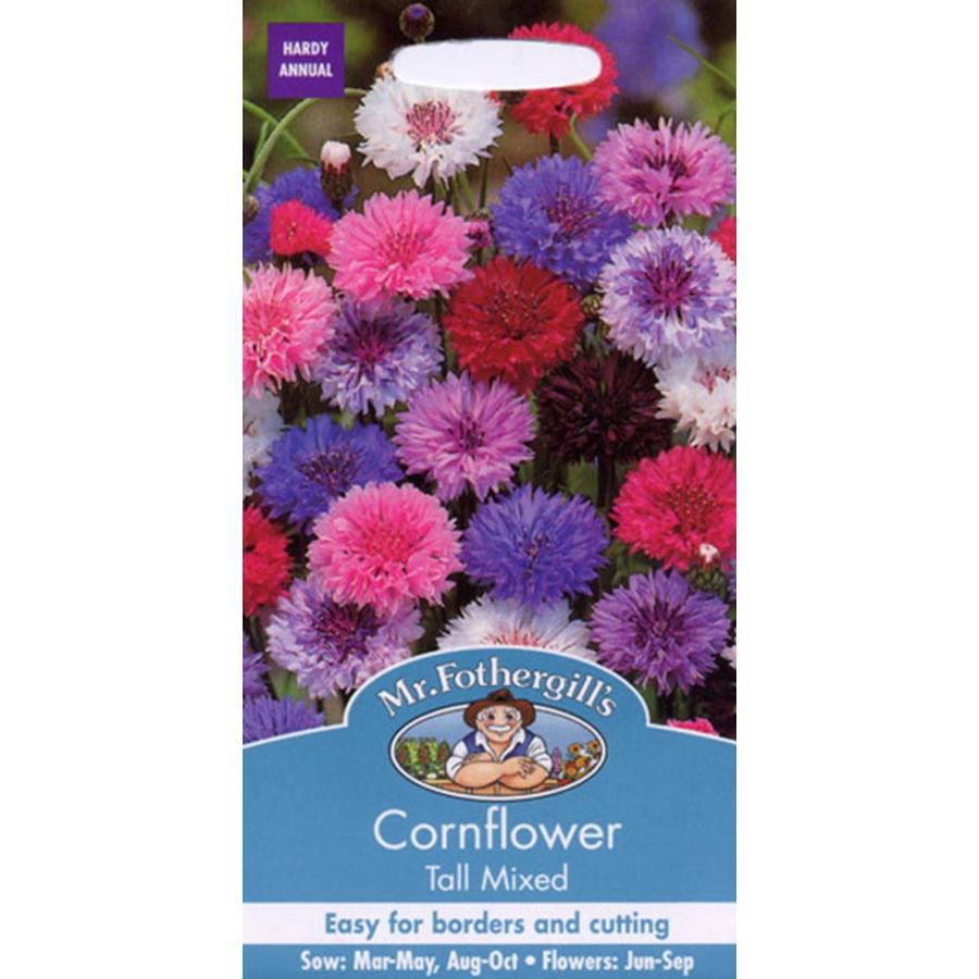 輸入種子】 Mr.Fothergill's Seeds Cornflower Tall Mixed コーンフラワー（セントーレア） トール・ミックス  ミスター・フォザーギルズシード :hanatane-1370:Gardener s Shop Ivy - 通販 - Yahoo!ショッピング