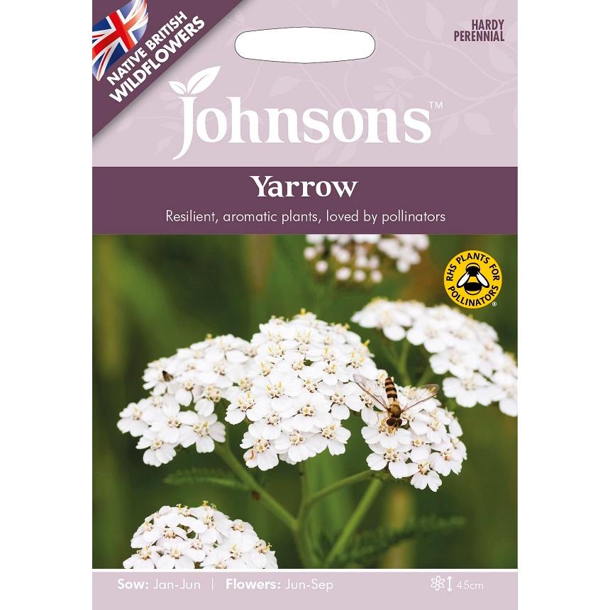 【種子】Johnsons Seeds NATIVE BRITISH WILD FLOWERS Yarrow ネイティブブリティッシュ ワイルド