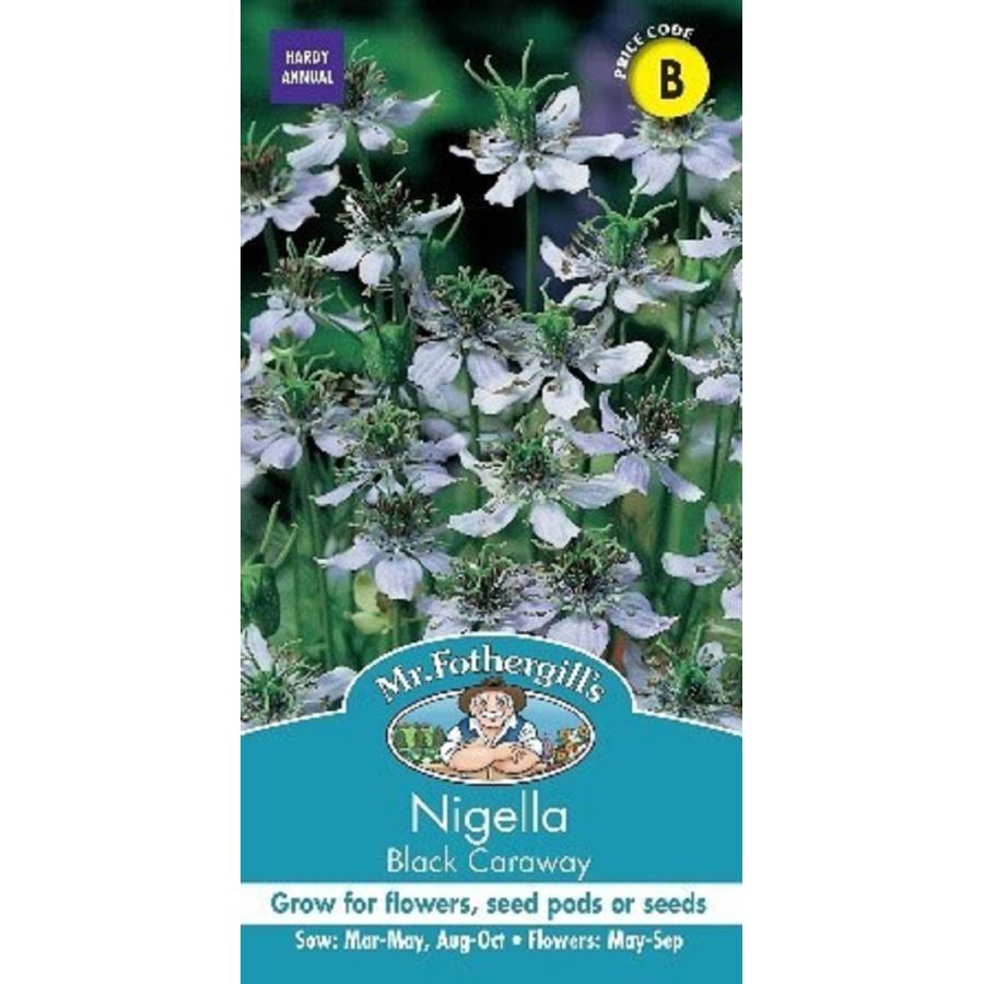 Mr Fothergill 039 S Seeds Nigella Black Caraway ニゲラ ブラック キャラウェイ ミスター フォザーギルズシード 超人気高品質