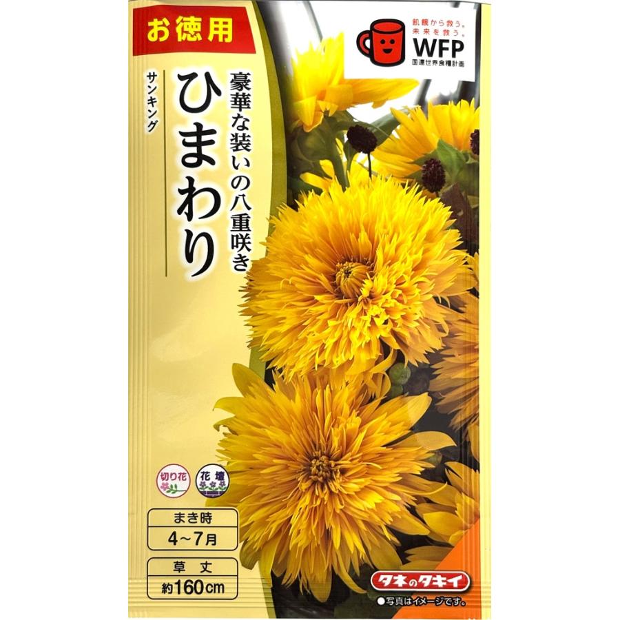 種子】ひまわり サンキング お徳用パック タキイ種苗のタネ 種子】ひまわり サンキング お徳用パック タキイ種苗のタネ