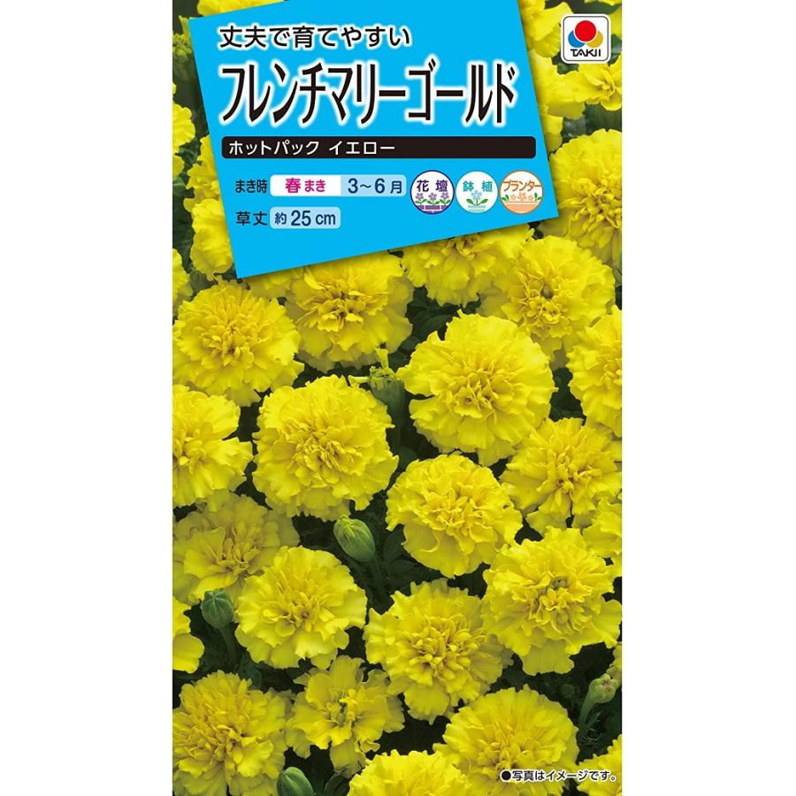 花種子 フレンチマリーゴールド ホットパック イエロー タキイ種苗の