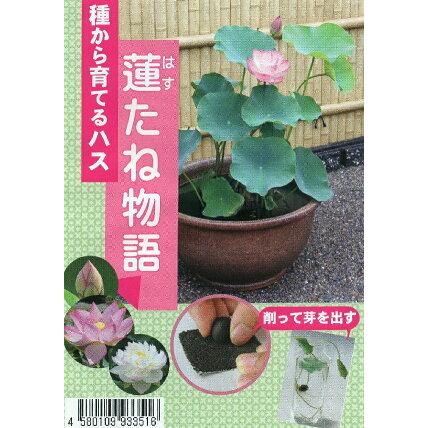花種子 蓮(はす)たね物語 杜若園芸のタネ（Yahoo!・Gardener s Shop Ivy）