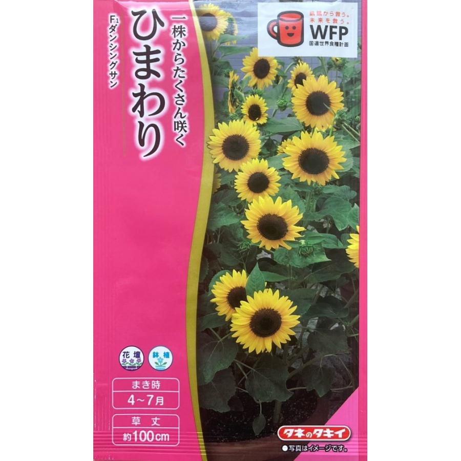 花種子 ひまわり F1 ダンシングサン タキイ種苗のタネ : Gardener s