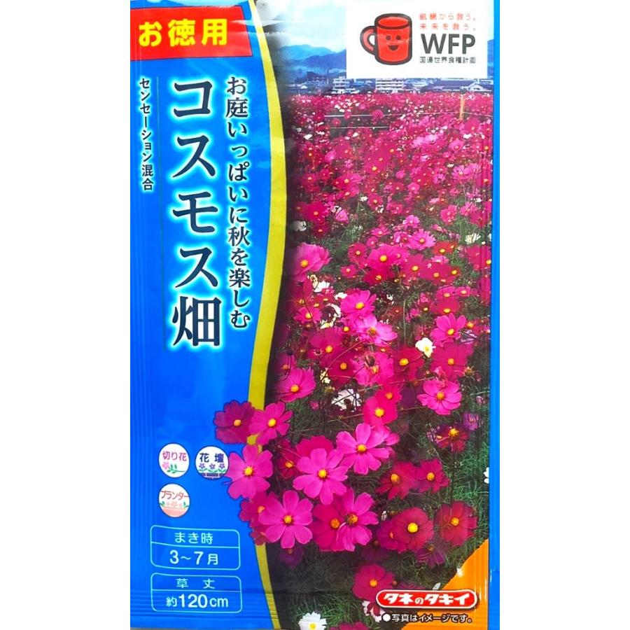 花種子 お徳用パック！ コスモス畑 センセーション混合 タキイ種苗の