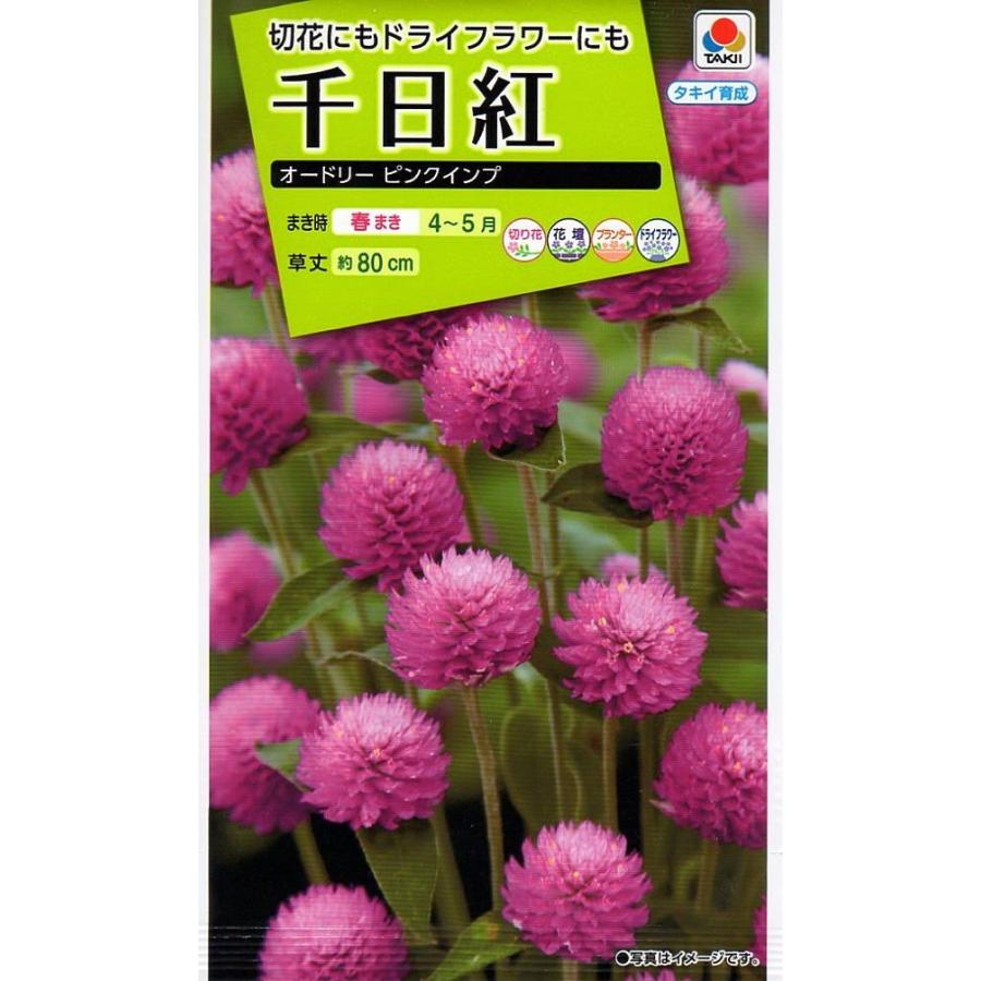 種子 千日紅 オードリー ピンクインプ タキイのタネ Hanatane 194 Gardener S Shop Ivy 通販 Yahoo ショッピング