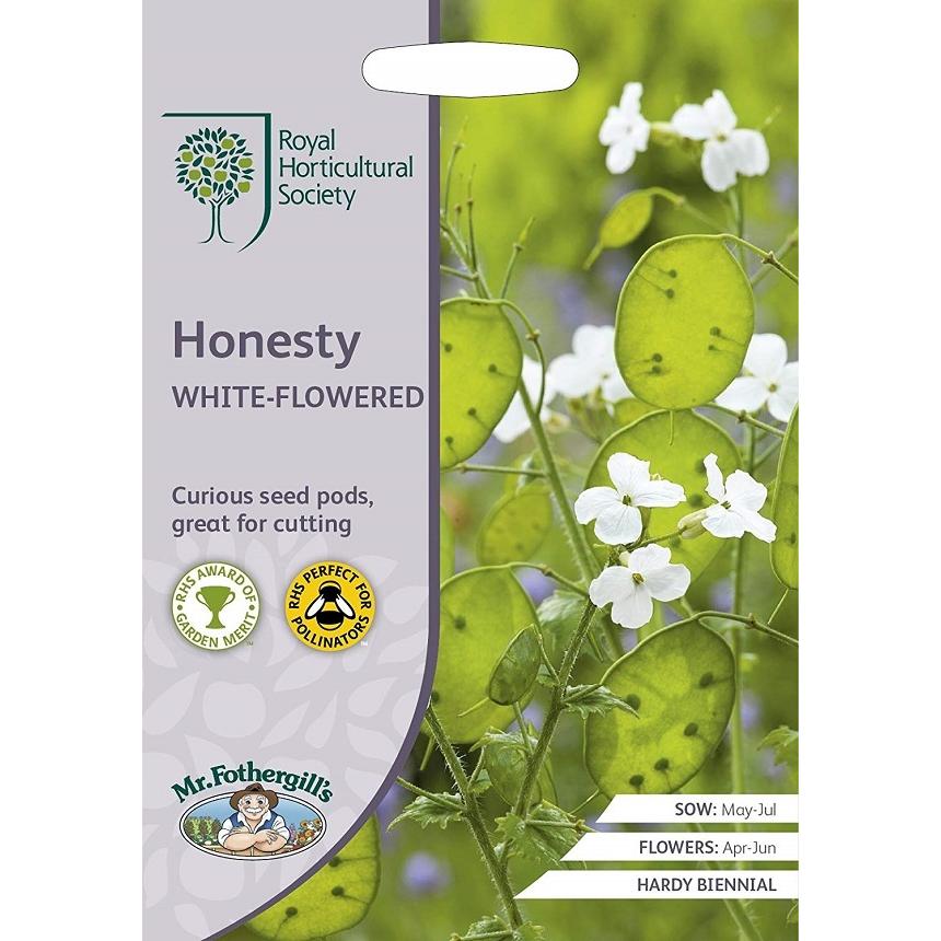 １着でも送料無料 春先取りの 輸入種子 Mr.Fothergill#039;s Seeds Royal Horticultural Society Honesty WHITE-FLOWERED RHS オネスティ ルナリア ホワイト フラワード jkparker.ca jkparker.ca