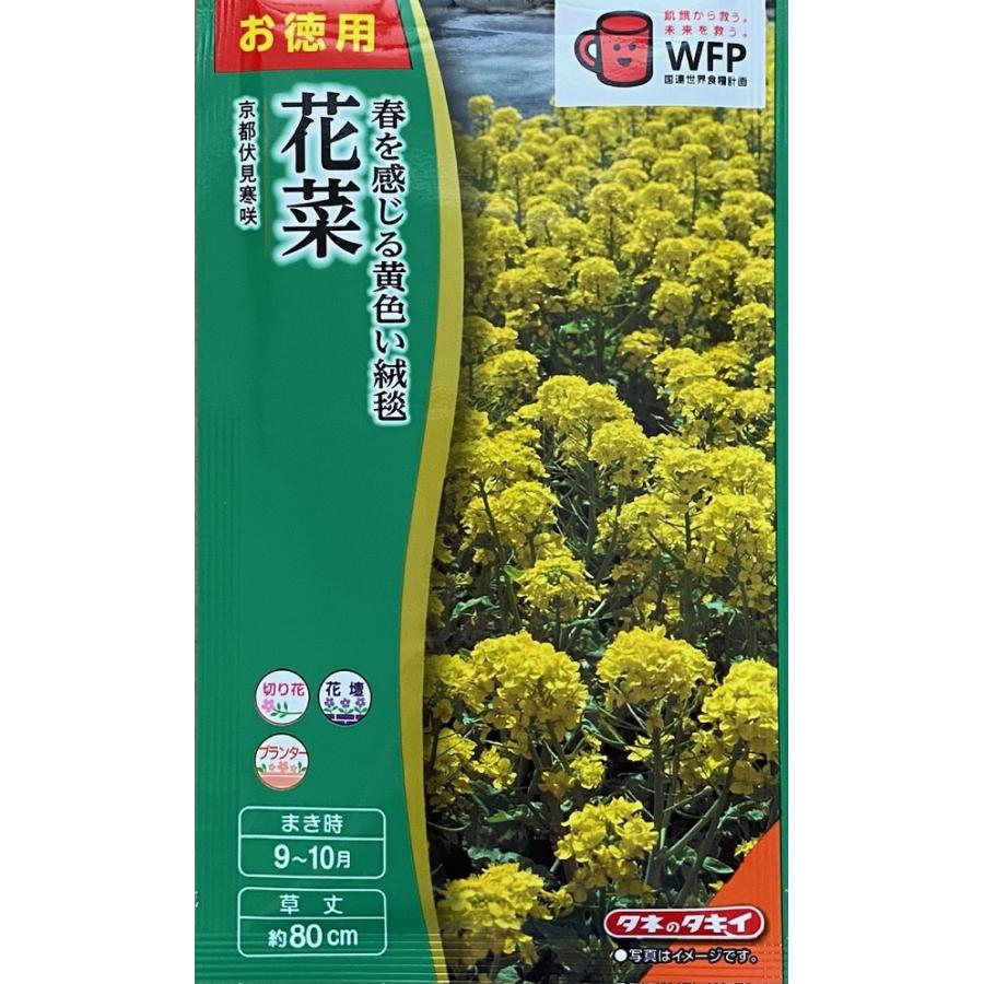 花種子 景観用 花菜 京都伏見寒咲 タキイ種苗のタネ : Gardener s Shop