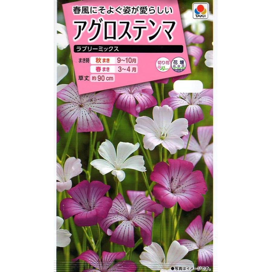出荷 種子 アグロステンマ ラブリーミックス タキイ種苗のタネ