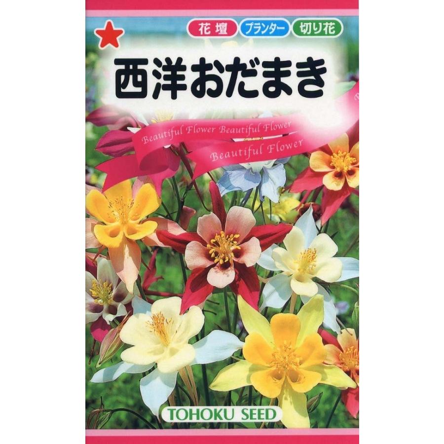 輸入 種子 西洋おだまき アキレギア トーホクのタネ