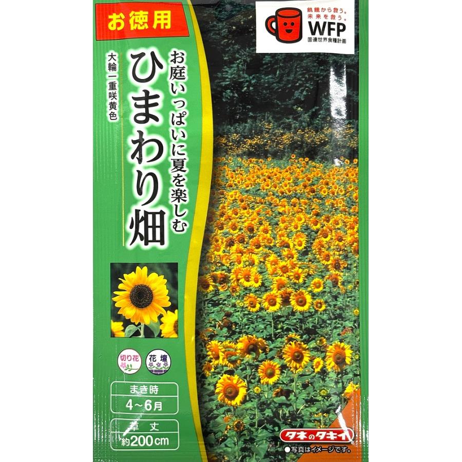 花種子 ひまわり畑 大輪一重 黄色 お徳用パック タキイ種苗のタネ