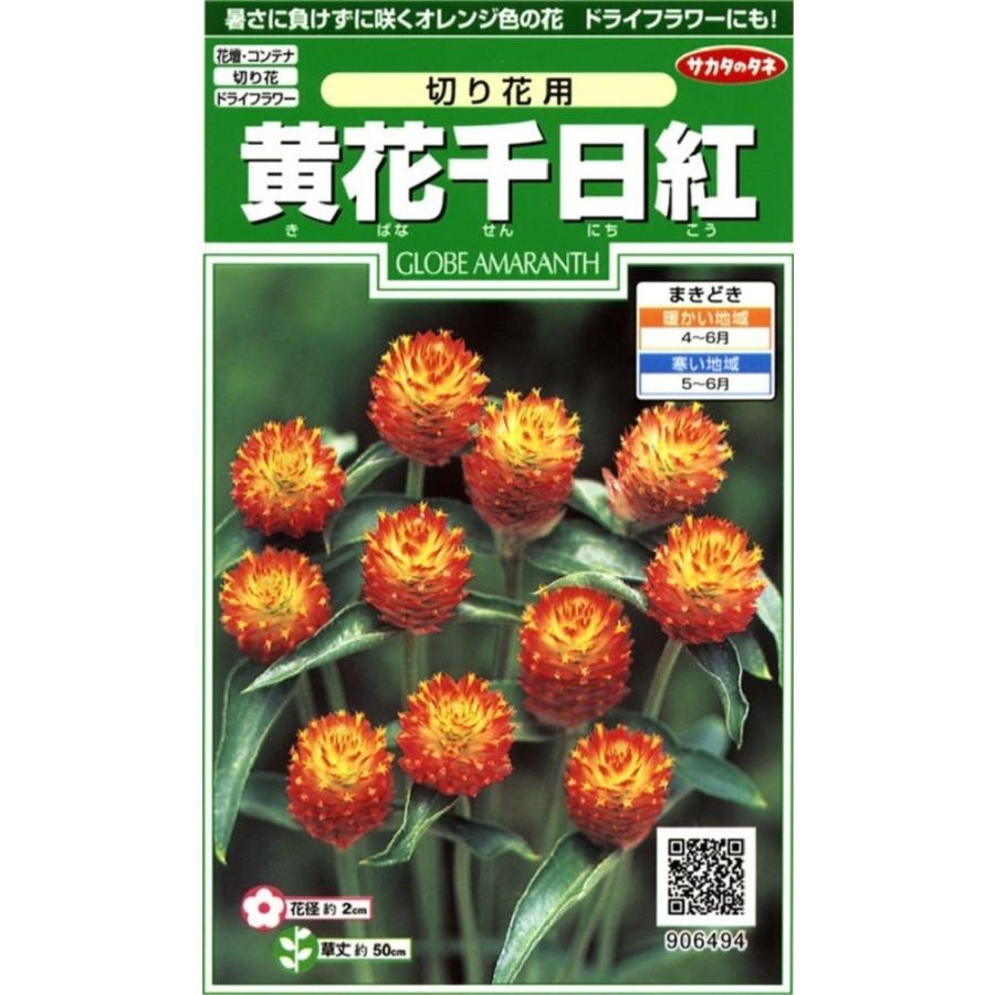 96 Off 種子 黄花千日紅 切り花用 サカタのタネ