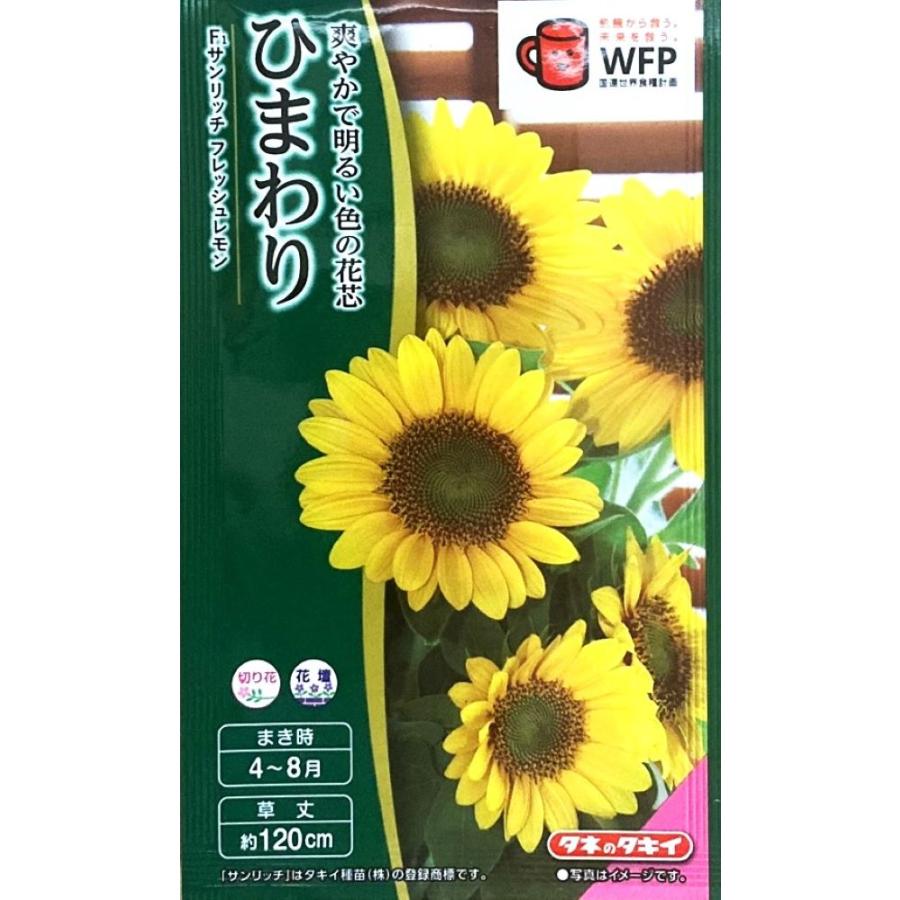 花種子 ひまわり F1 サンリッチ フレッシュレモン タキイ種苗のタネ