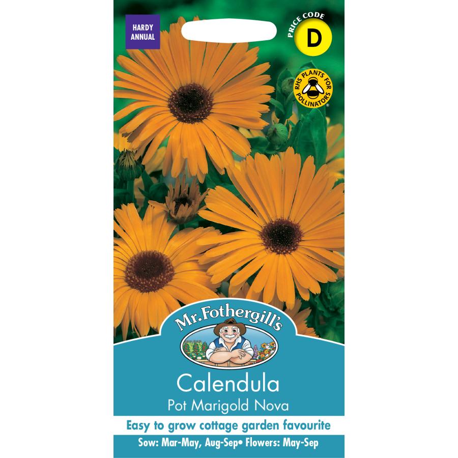 種子】Mr.Fothergill's Seeds Calendula Pot Marigold Nova