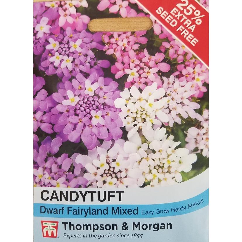 輸入種子 Thompson Morgan Candytuft Dwarf Fairyland Mixed キャンディタフト イベリス ドワーフ フェアリーランド ミックス Hanatane 511 Gardener S Shop Ivy 通販 Yahoo ショッピング