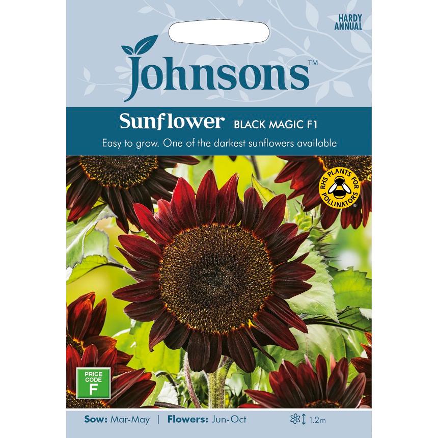 （訳ありセール 格安） 92％以上節約 輸入種子 Johnsons Seeds Sunflower Black Magic F1 サンフラワー ブラック マジック ジョンソンズシード furnituresourcing.cn furnituresourcing.cn