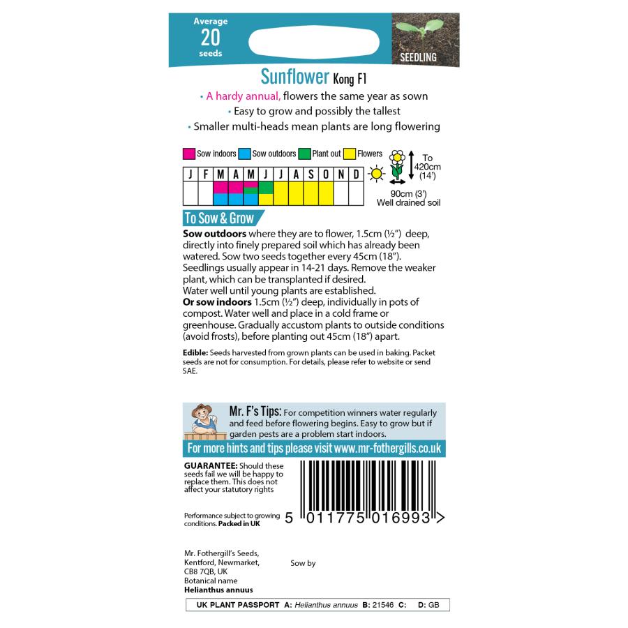 【種子】Mr.Fothergill's Seeds Sunflower Kong F1 サンフラワー（ひまわり） コング・F1 ミスター・フォザーギルズシード｜gardeningivy｜02