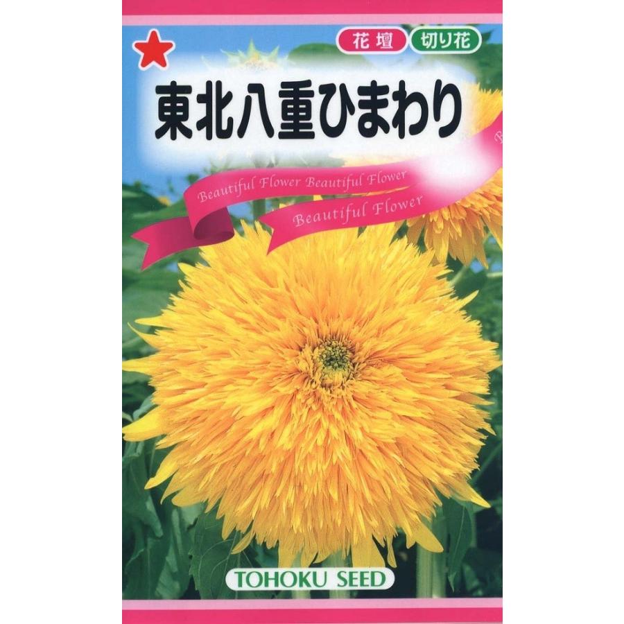 花種子 東北八重ひまわり トーホクのタネ : Gardener s Shop Ivy