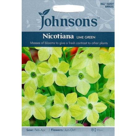 輸入種子 Johnsons Seeds Nicotiana Lime Green ニコチアナ ハナタバコ ライム グリーン ジョンソンズシード Hanatane 6 Gardener S Shop Ivy 通販 Yahoo ショッピング