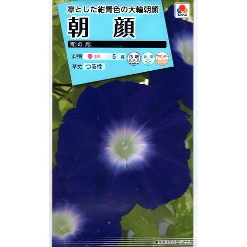 花種子 朝顔 宵の月 タキイ種苗のタネ : Gardener s Shop Ivy - 通販