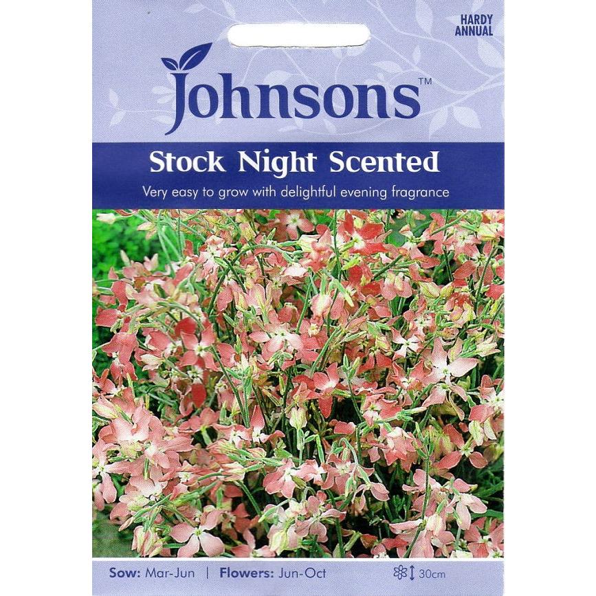 輸入種子 Johnsons Seeds Stock Night Scented ストック ナイト センテッド ジョンソンズシード Hanatane 634 Gardener S Shop Ivy 通販 Yahoo ショッピング