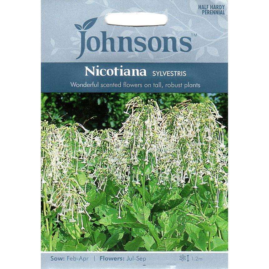 輸入種子 Johnsons Seeds Nicotiana Sylvestris ニコチアナ ハナタバコ シルベストリス ジョンソンズシード Hanatane 636 Gardener S Shop Ivy 通販 Yahoo ショッピング