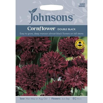 Johnsons Seeds Cornflower Double Black コーンフラワー（セントーレア） ダブル・ブラック ジョンソンズシード