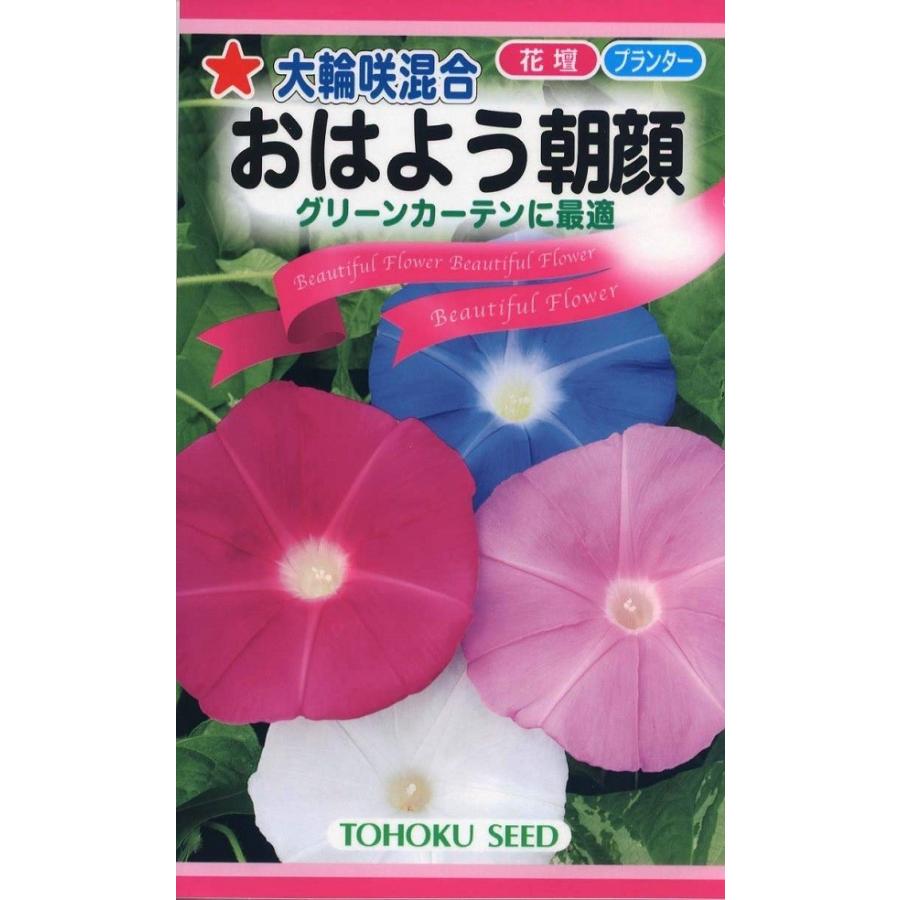 最大75 Offクーポン 種子 大輪咲混合 おはよう朝顔 トーホクのタネ