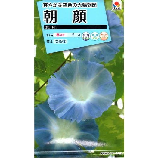 花種子 朝顔 水月 タキイ種苗のタネ : Gardener s Shop Ivy - 通販