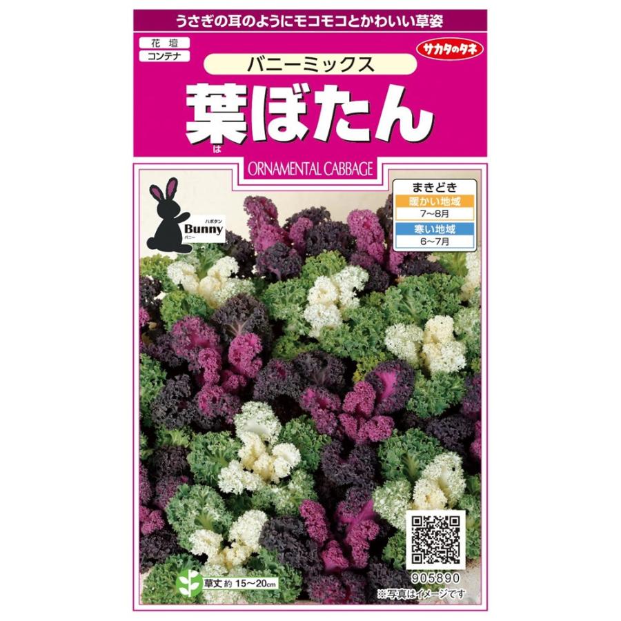 種子 葉ぼたん バニーミックス サカタのタネ Hanatane 866 Gardener S Shop Ivy 通販 Yahoo ショッピング