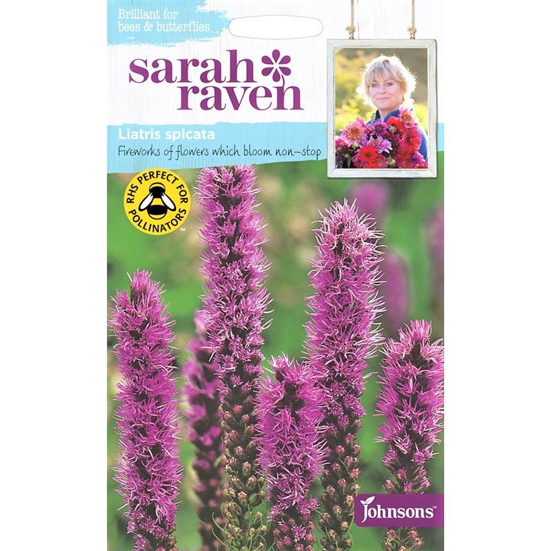 【輸入種子】 Johnsons Seeds Sarah Raven Brilliant for Bees amp; Butterflies Liatris spicata (Blazing Star)  リアトリス・スピカータ