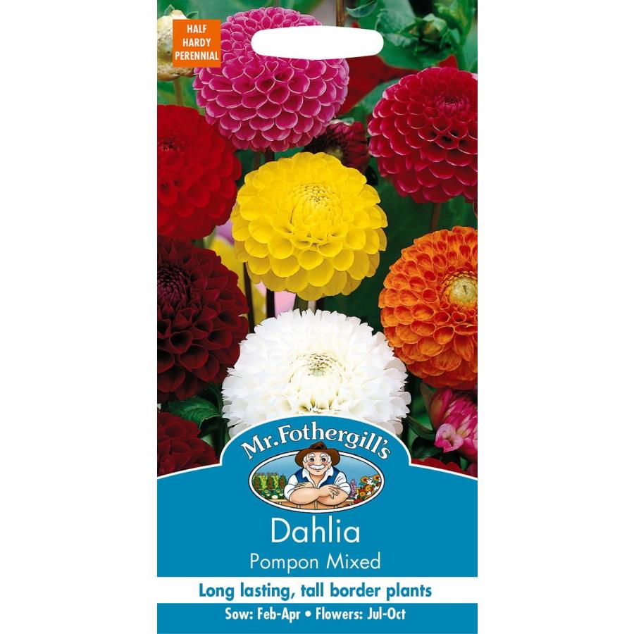 輸入種子 Mr Fothergill S Seeds Dahlia Pompom Mixed ダリア ポンポン ミックス ミスター フォザーギルズシード Hanatane 900 Gardener S Shop Ivy 通販 Yahoo ショッピング
