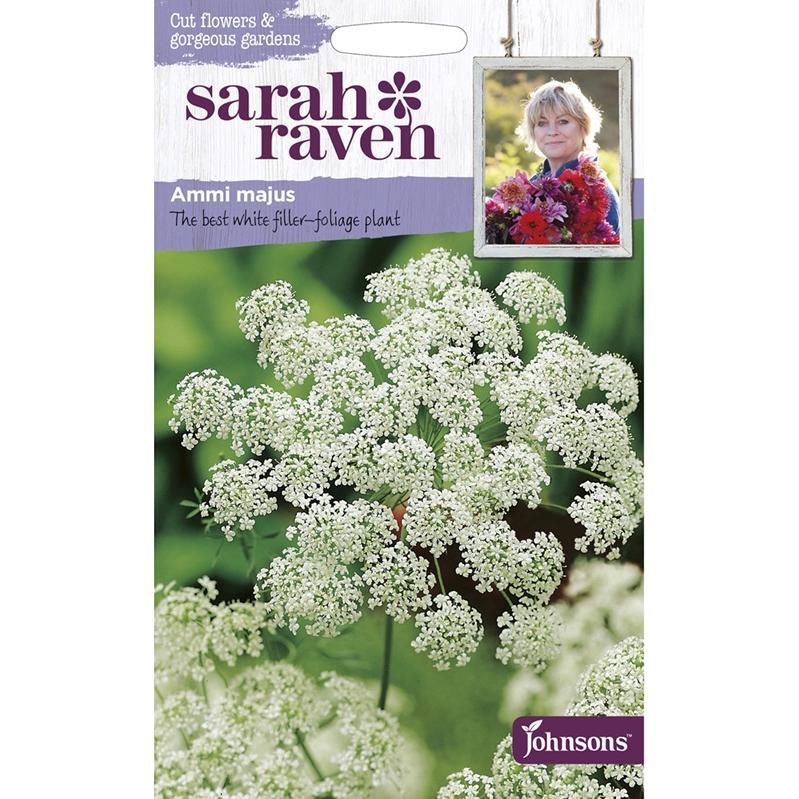 【種子】Johnsons Seeds Sarah Raven Cut flowers & gardens Ammi