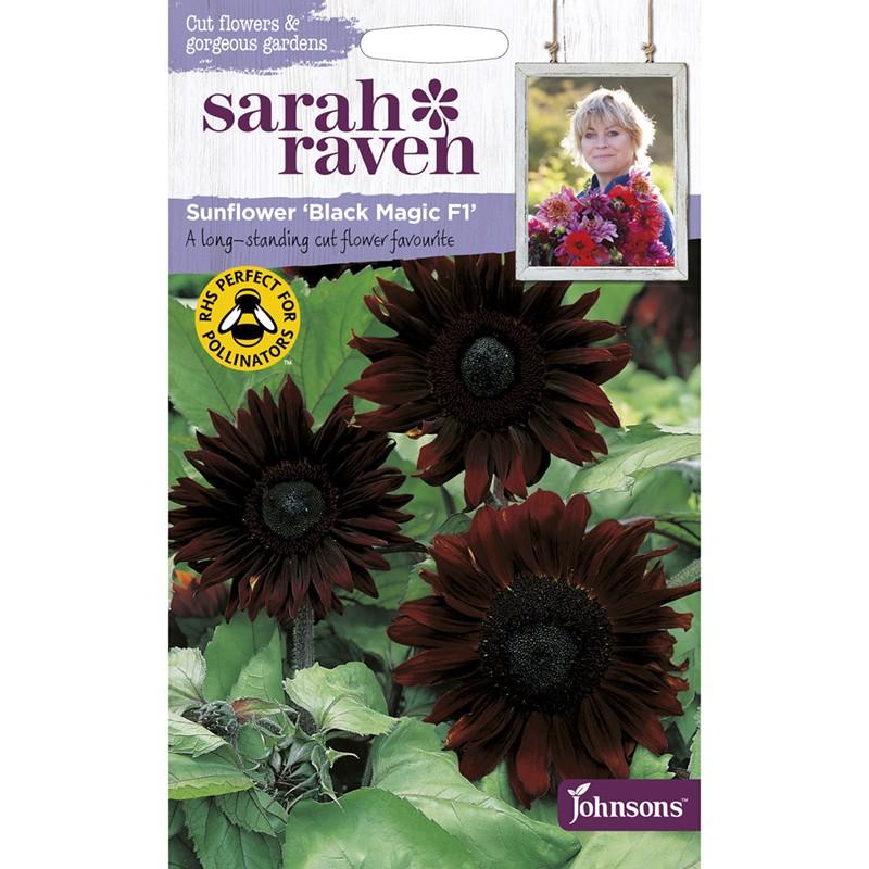 Johnsons Seeds Sarah Raven Cut flowers  gorgeous gardens Sunflower Black Magic F1 サラ・レイブン サンフラワー ブラックマジックF1