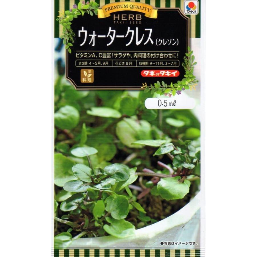 種子 ハーブ ウォータークレス クレソン タキイ種苗のタネ Herb 016 Gardener S Shop Ivy 通販 Yahoo ショッピング