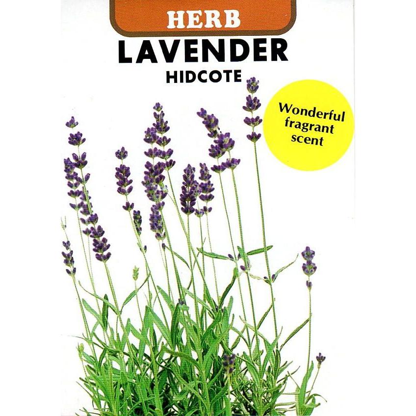 種子 ラベンダー ヒデコート 藤田種子のタネ Herb 021 Gardener S Shop Ivy 通販 Yahoo ショッピング