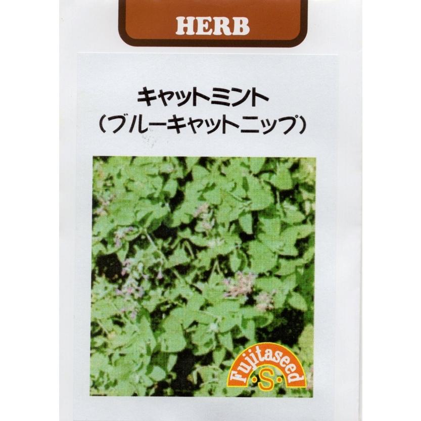 種子 ブルーキャットニップ キャットミント 藤田種子のタネ Herb 061 Gardener S Shop Ivy 通販 Yahoo ショッピング