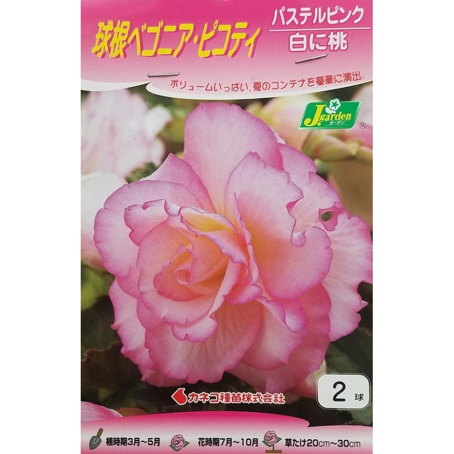 花球根 球根ベゴニア ピコティ パステルピンク 白に桃 ２球入 カネコ種苗の球根 Kyuukon 004 Gardener S Shop Ivy 通販 Yahoo ショッピング