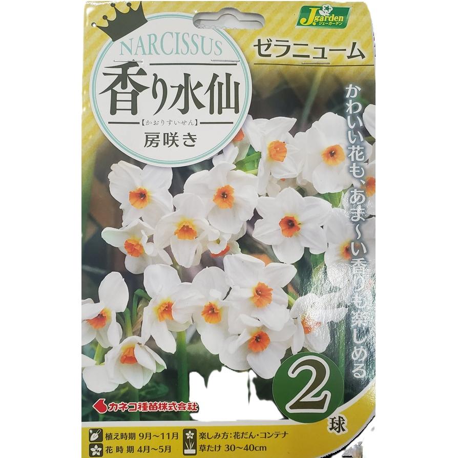 花球根】香り水仙 房咲き ゼラニューム 2球入 カネコ種苗の球根