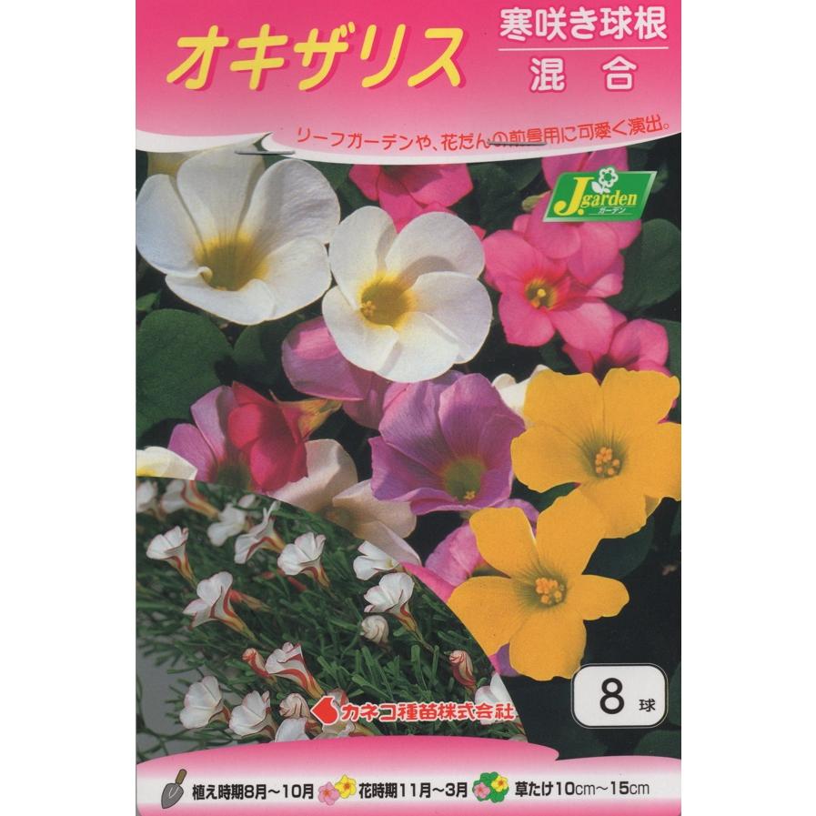 花球根 オキザリス 寒咲き球根 混合 8球入 カネコ種苗 Kyuukon 034 Gardener S Shop Ivy 通販 Yahoo ショッピング