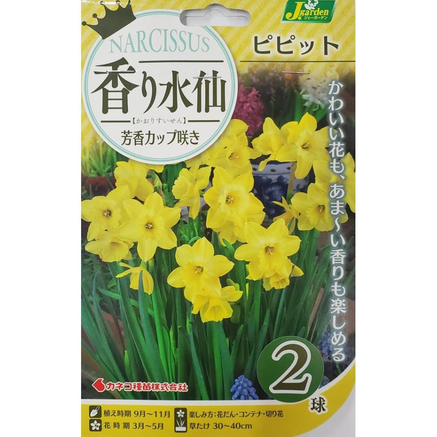 椿 水仙3球 球根 水仙：ピンクチャーム 3球入り：園芸ネット の通販 価格524円