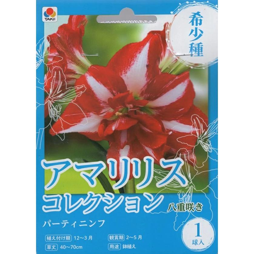 花球根 アマリリスコレクション 八重咲き パーティニンフ 1球入 タキイ