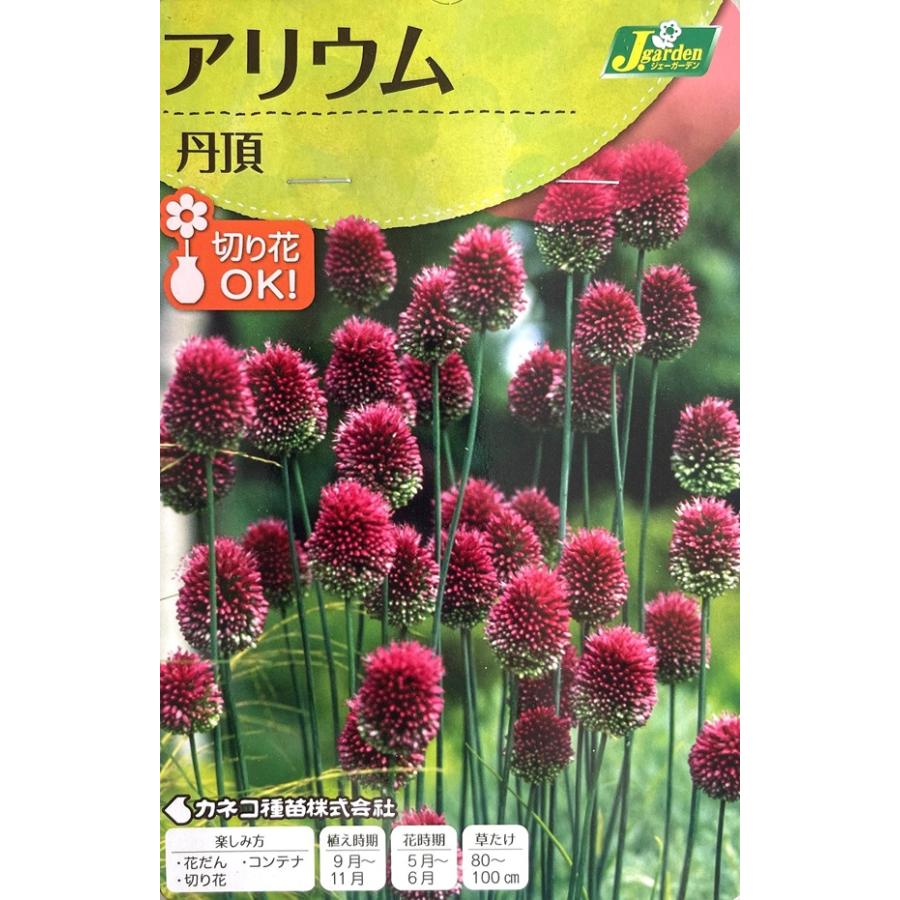 花球根】アリウム 丹頂 5球入 カネコ種苗の球根 : Gardener s Shop Ivy