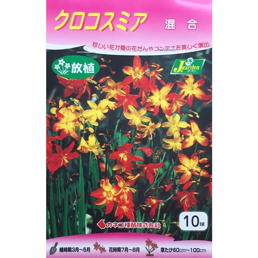 花球根 クロコスミア 混合 10球入 カネコ種苗の球根 Kyuukon 170 Gardener S Shop Ivy 通販 Yahoo ショッピング
