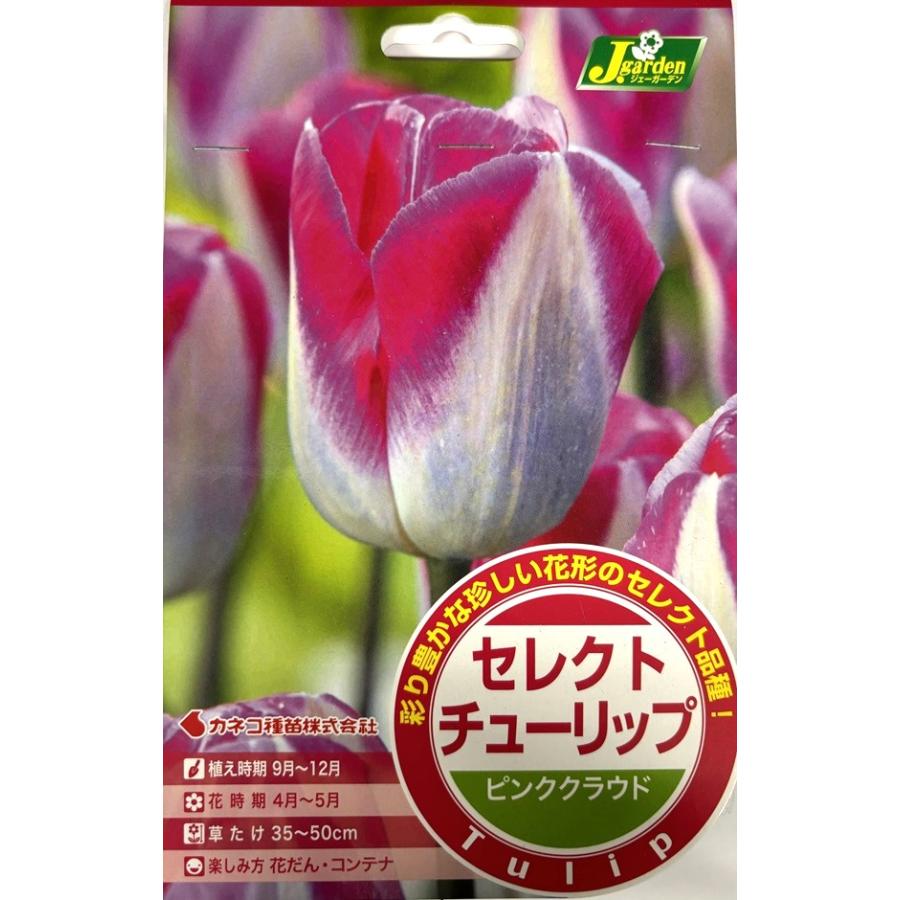 花球根】セレクトチューリップ ピンククラウド 3球入 カネコ種苗の球根