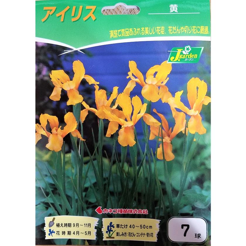 花球根 アイリス 黄 7球入 カネコ種苗の球根 Kyuukon 348 Gardener S Shop Ivy 通販 Yahoo ショッピング