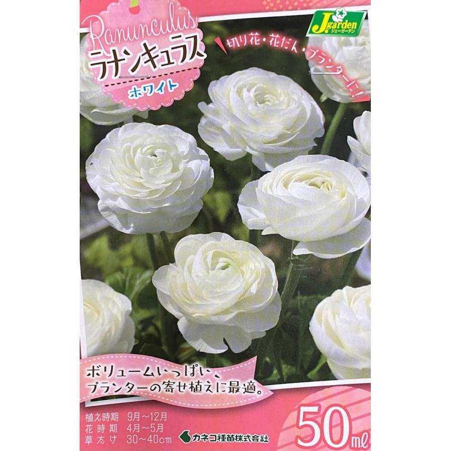 【花球根】ラナンキュラス ホワイト 50ml入 カネコ種苗の球根 kyuukon356Gardener s