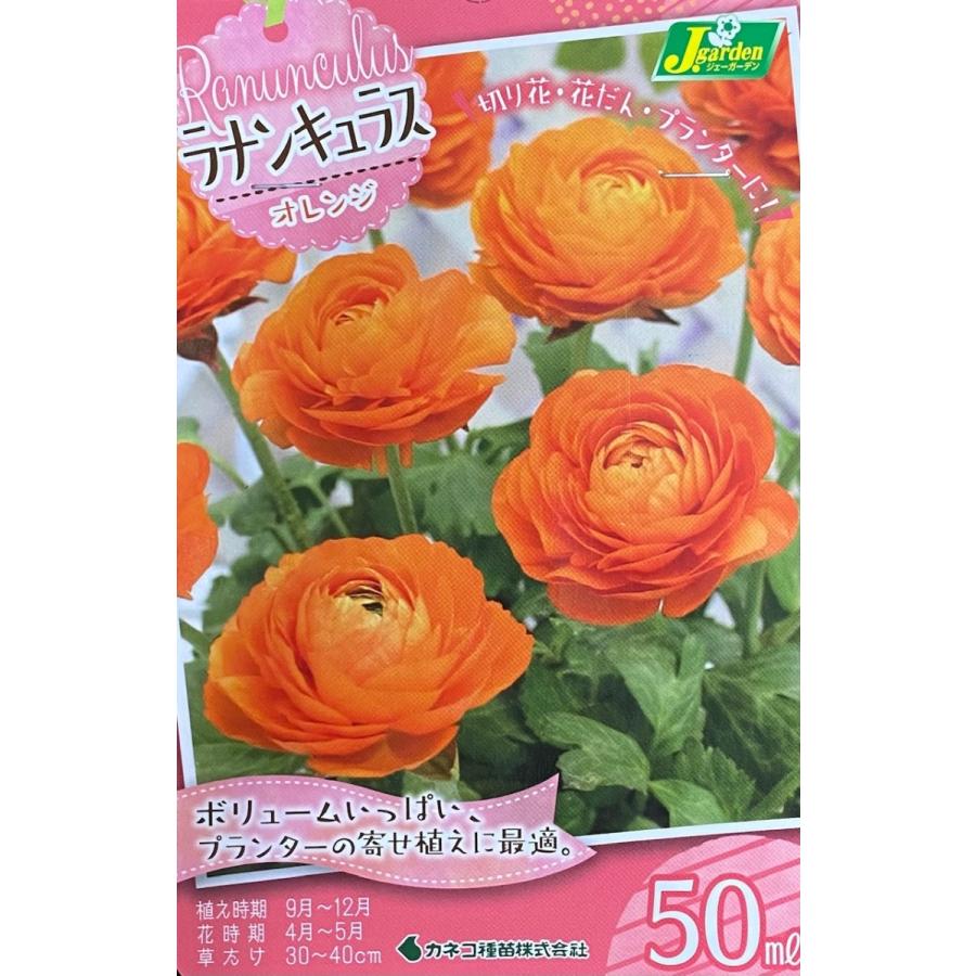 【花球根】ラナンキュラス オレンジ 50ml入 カネコ種苗の球根 kyuukon358Gardener s